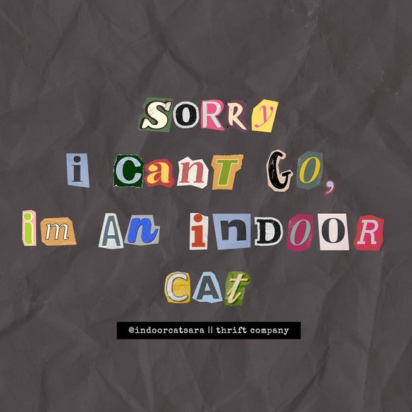 I’m Sara, the indoor cat - Picture 1 of 1